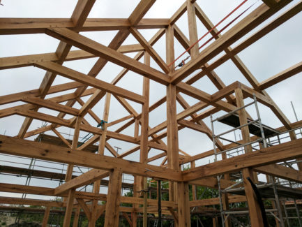 Oak House Frame